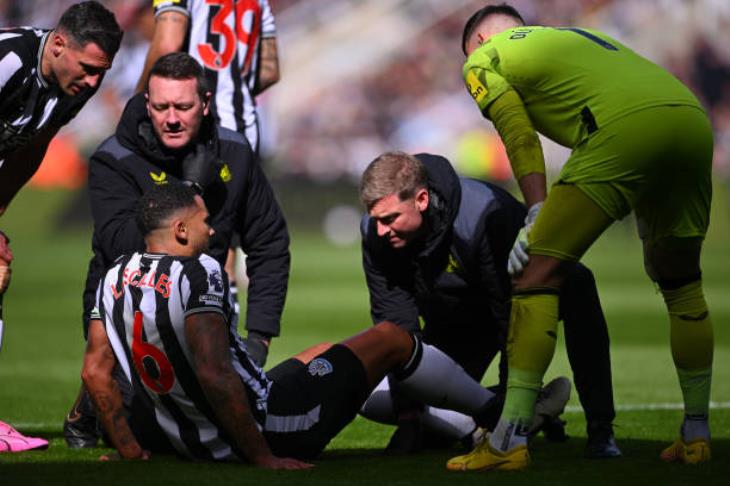 جمال لاسيليس